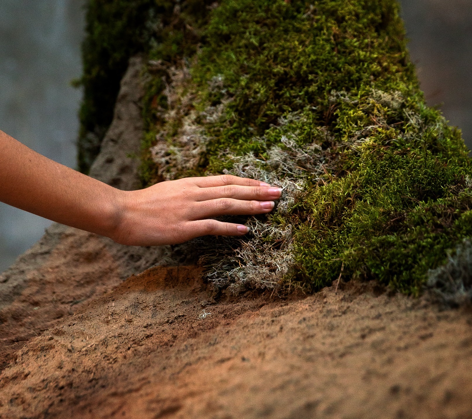En hand känner på en skulptur som ser ut att vara gjord av gräs och mossa. 