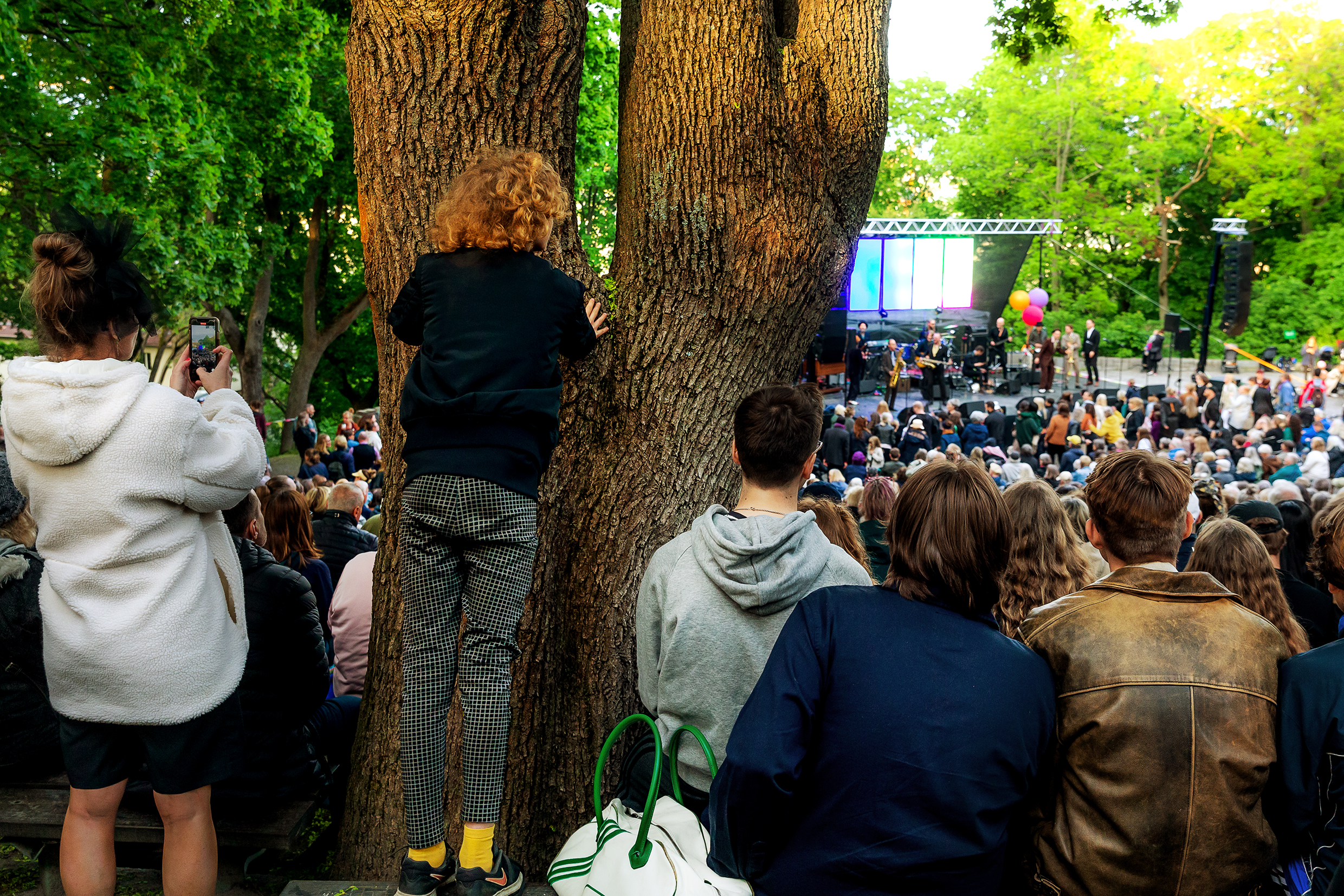 Publik som kikar fram bakom ett träd